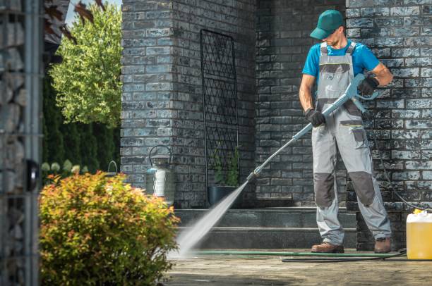 Best Rust Removal  in Pawnee, IL