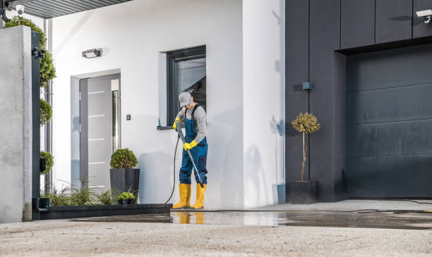 Boat and Dock Cleaning in Pawnee, IL